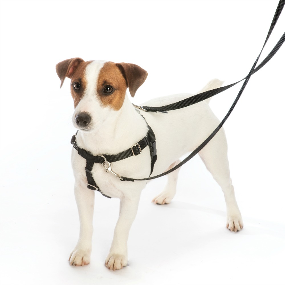 Hounds Design Freedom No Pull Dog Harness Adjustable Gentle Comfortable  Control for Easy Dog Walking |for Small Medium and Large Dogs Made in USA  1