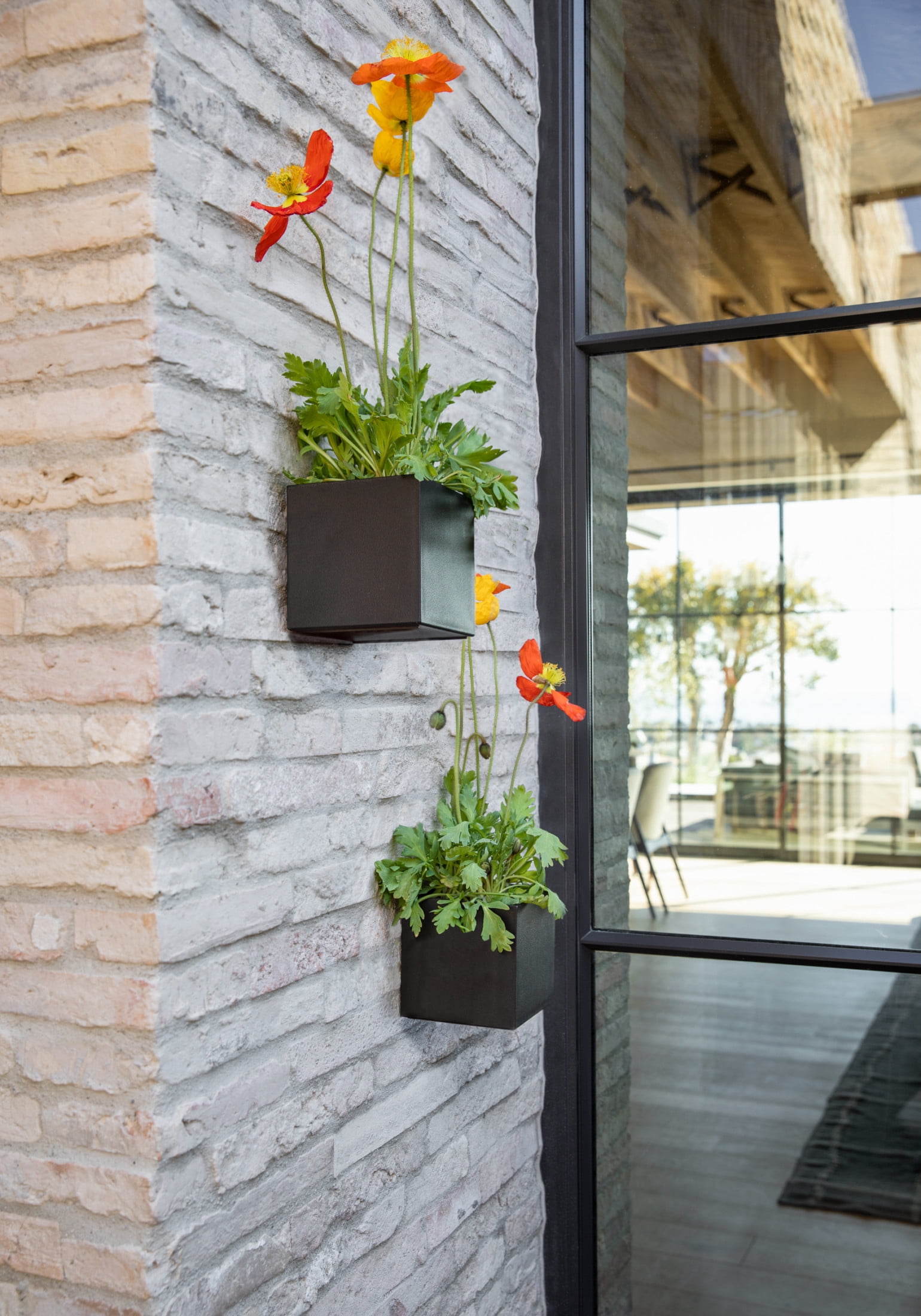 Veadek Geo Series Cube Hanging 5" Planter - Black