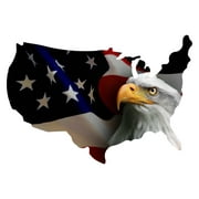 Next Innovations US Shaped with Eagle on Flag Wall Art