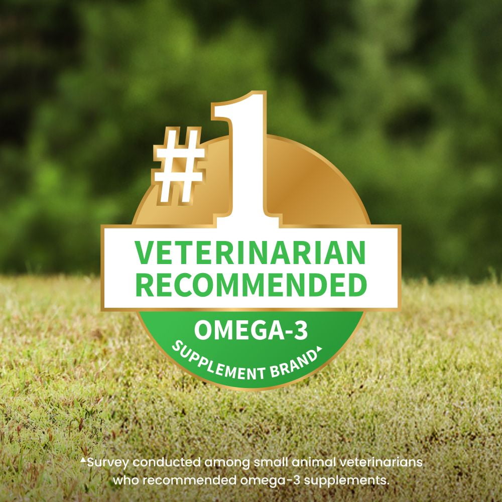 Nutramax Welactin Omega 3 Fish Oil for Dogs, Skin and Coat Health Supplement, Plus Joint, Immune, Kidney, and Brain Support, Premium Omega 3 Fatty Acids, For Dogs of all Sizes, 16 Ounce Liquid