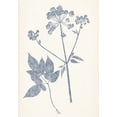 thumbnail image 2 of Vision Studio 24x32 White Modern Wood Framed Museum Art Print Titled - Navy Botanicals IV, 2 of 4