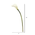 thumbnail image 3 of Vickerman 26'' Tige de Calla Artificielle en Blanc (Lot de 6), 3 of 3