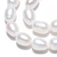 thumbnail image 3 of 2Strand Natural Cultured Freshwater Pearl Beads Strands Rice Seashell Color 7~11.5x6~6.5mm Hole: 0.7~0.8mm 38~45pcs/strand 14.37 inch(36.5cm), 3 of 6