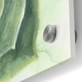 thumbnail image 2 of Epic Art 'Verdant Succulent II' by Grace Popp, Acrylic Wall Glass, 36"x36", 2 of 7