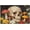 500 PCS, variant on 500 Piece Jigsaw Puzzle, Vintage Mushroom Horror Skull Skeleton, Colorful Wildflower Terror Design, Mushroom Art Halloween Puzzle, 20.5" x 15"