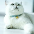 thumbnail image 3 of DEBGFS 2 Pack Cotton Breakaway Cat Collars with Bell,Blue, 3 of 5