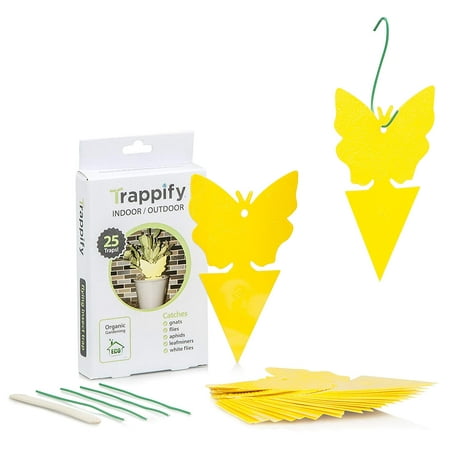 LIGHTSMAX Sticky Bug, Gnat, and Fruit Fly Trap: Yellow Dual Sided Glue Insect Catcher to Control Bugs Indoor and Outdoor - Traps Fruit Flies, Aphids and Flying Pests in Potted Plants (Best Way To Get Rid Of Aphids)