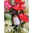 thumbnail image 3 of Face Serum - Plant-Based Daily Renewal Serum for Firming, Brightening & Hydration - 1 Fl Oz (Pack of 1), 3 of 8