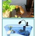 thumbnail image 6 of Deluxe Aquatic , Aquarium Box for Turtle Reptile Habitat Tank with Basking Ramp Platform Plants White, 6 of 10