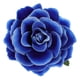 thumbnail image 4 of 0, 4 of 5