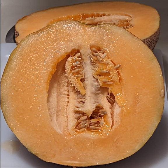 Ambrosia Hybrid Cantaloupe Seeds