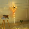 thumbnail image 4 of MELLCO LED Luminous Balloon Rose Bouquet Transparent Bobo Ball Rose Valentines Day Gift Birthday Party Wedding Decoration Balloons(Send pump), 4 of 8