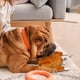 thumbnail image 3 of Grilled Chicken Dog Toy Funny Plush Pet Chew Toy, Squeaky Stuffed Animal, 3 of 5