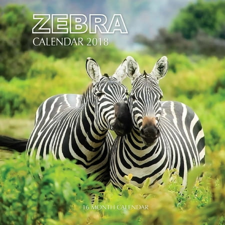 Zebra Calendar 2018: 16 Month Calendar