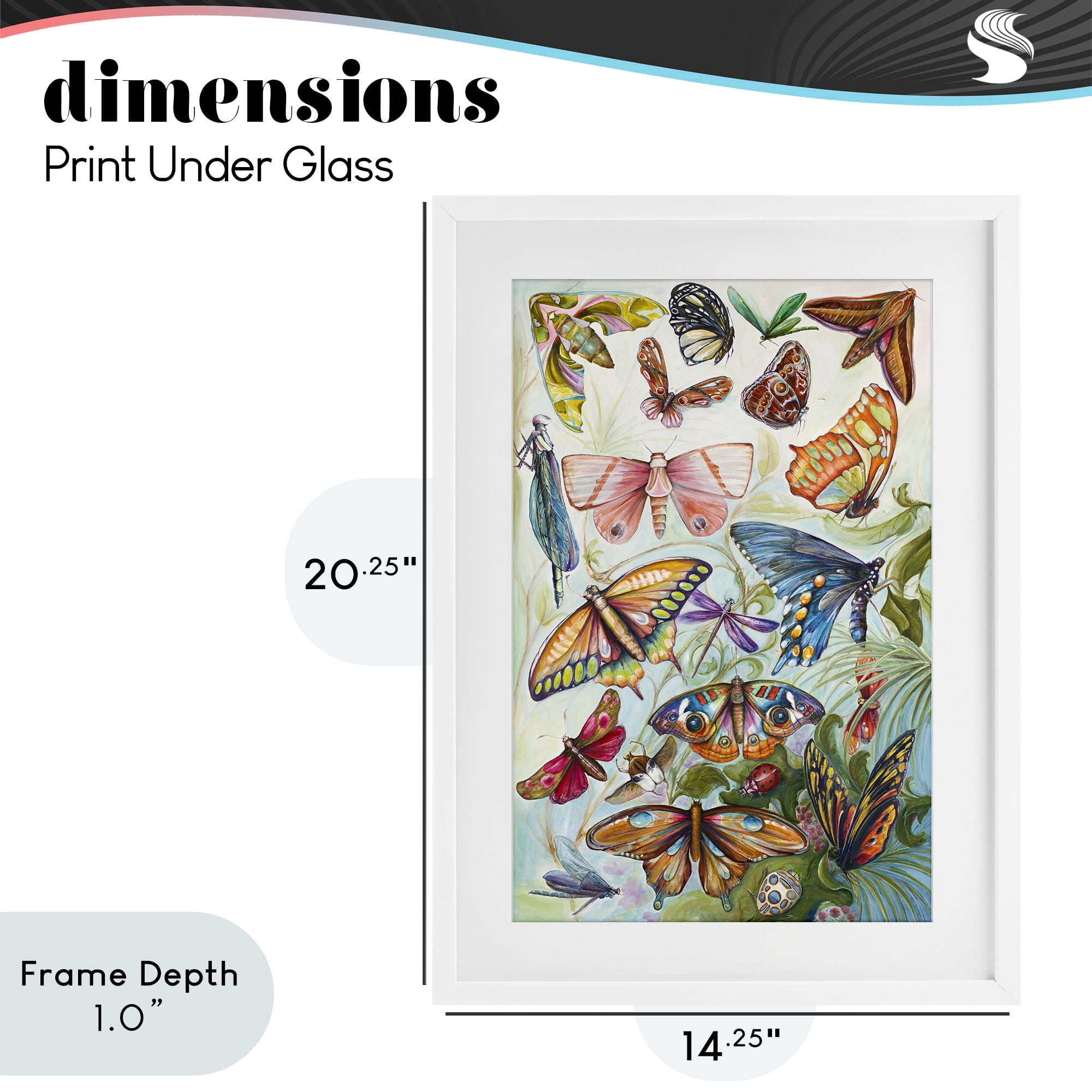 Stupell Industries Colorful Butterfly Conservatory White Framed Print Under Glass, design by Diannart