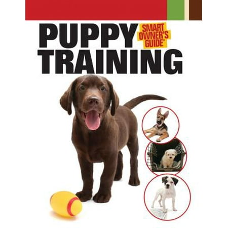 Puppy Training (Best Puppy Training Methods)