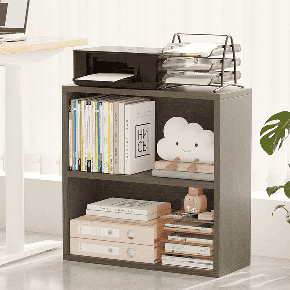 ALISENED 2 Tiers Shelf Bookcase, Stylish and Functional Bookshelf, Storage Organizer Shelving for Home, Office, Living Room and Bed Room