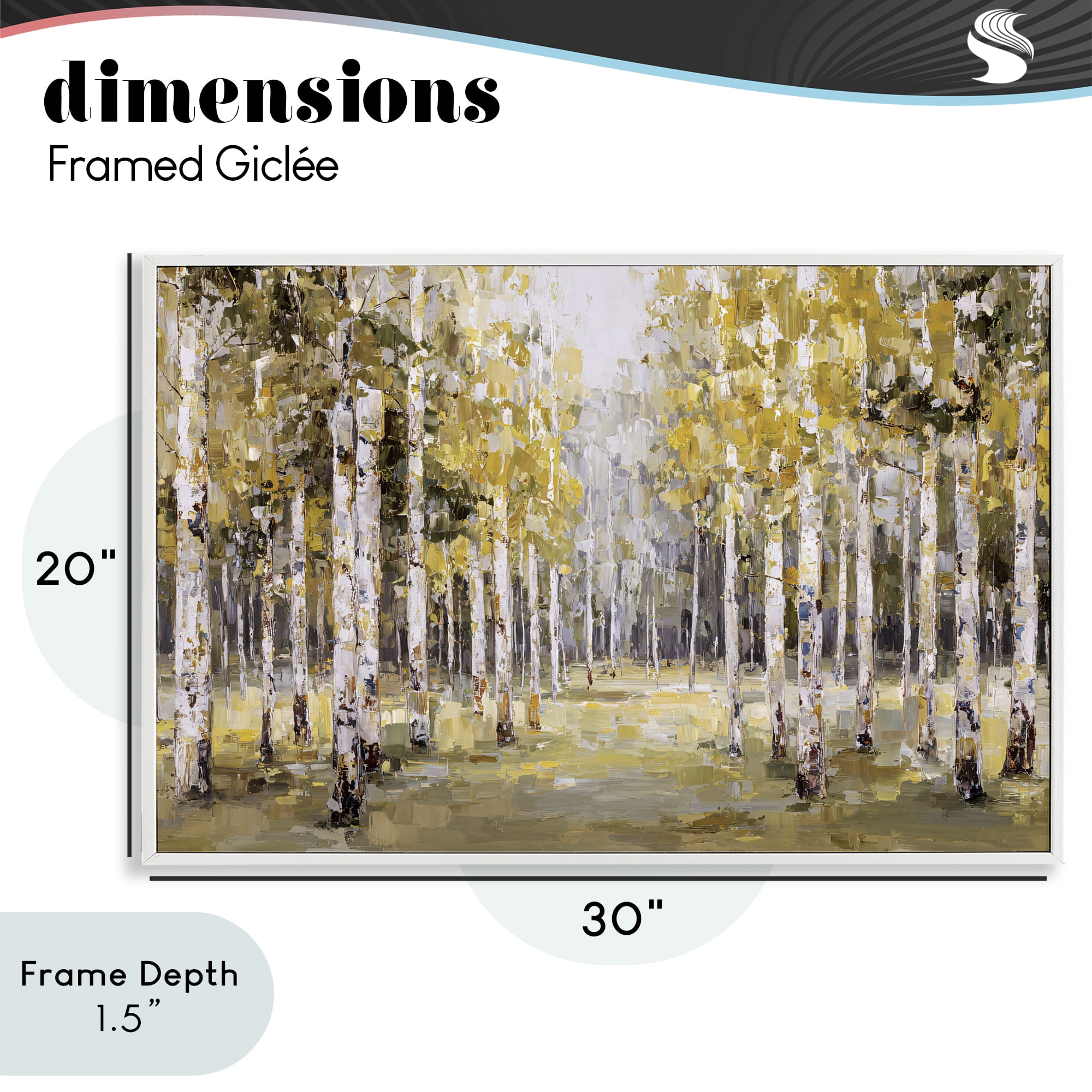 Stupell Industries Impressionist Birch Trees & Fall Leaves White Framed Giclee Art, design by Jacky Ngan