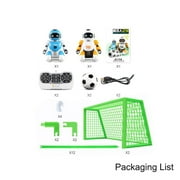 RC Soccer Robots