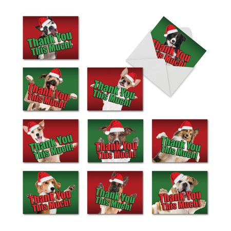 'M2369XTG-B1x10 M2369XTG CHRISTMAS DOG BIG THANKS' 10 Assorted Christmas Thank You Cards Thank You This Much! with Envelopes by The Best Card