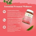 thumbnail image 6 of Natures Craft Prenatal Vitamins with Iron and Folic Acid for Women, Pineapple Mango, 120 Gummies, 6 of 10