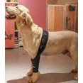 thumbnail image 2 of Pet Dog Knee Brace For Acl Knee Cap Dislocation Arthritis Keeps The Joint Warm Extra SupportXS, 2 of 5