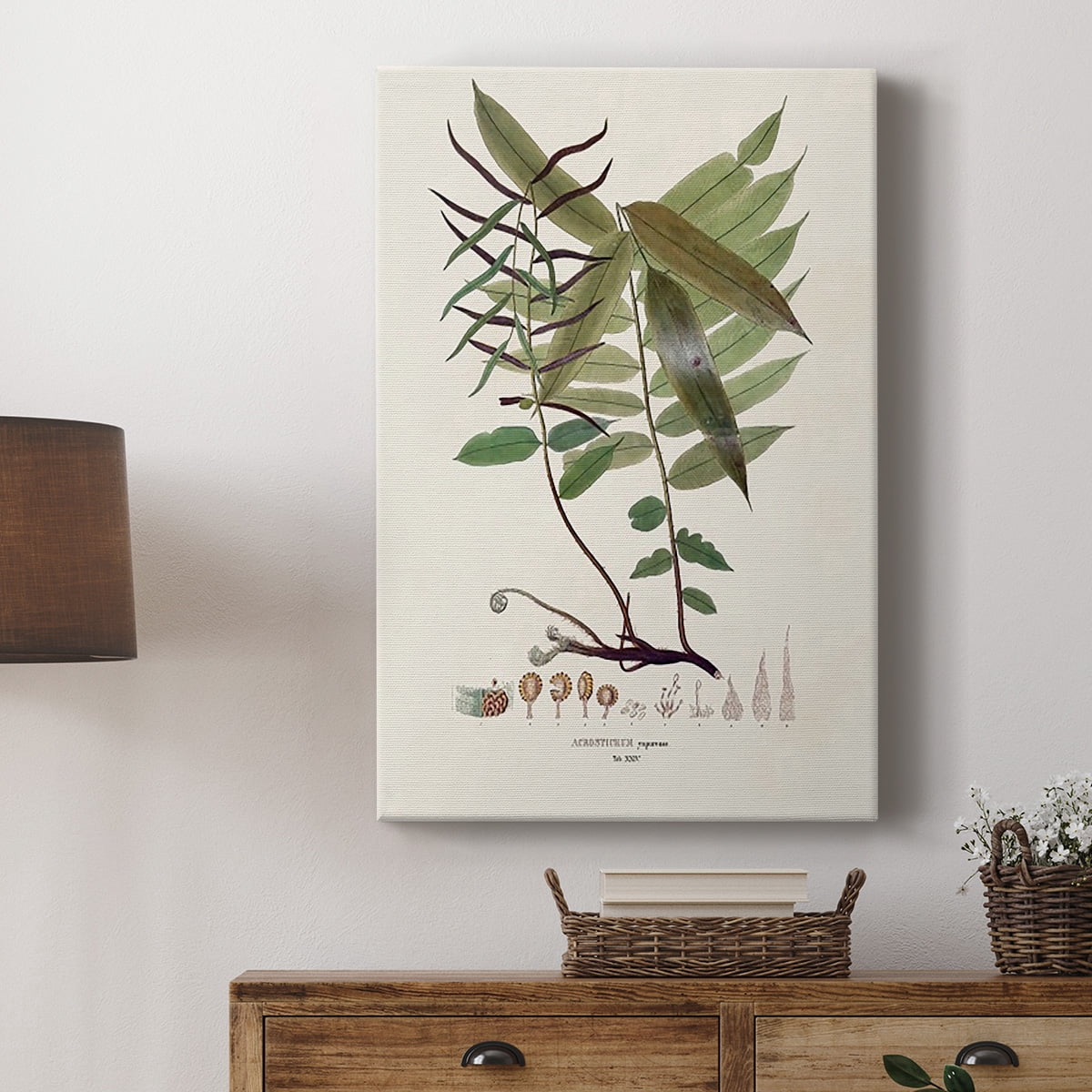 Botanical Society Ferns VI Premium Gallery Wrapped Canvas - Ready to Hang