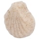 thumbnail image 5 of Esponja Facial Konjac, Exfoliante Facial, Baño, Eliminación De Suciedad, Eliminación De Maquillaje, Lavable, Reutilizable Para Niños, Para Viajes A Casa, Para Adultos, Para El, 5 of 7