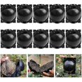 thumbnail image 1 of 10-pack Plant Rooting Device Plant Rooting Box for Plant Propagation Reusable Propagation Rooting Ball Black M, 1 of 5