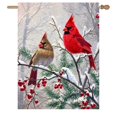 thumbnail image 1 of Bandera de jardín DZGlobal Winter Cardinal Bird House, 70 x 100 cm, 1 of 7