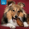thumbnail image 4 of GigaBite Roasted Pig Ears for Dogs, Natural and Healthy Chews, Treats in Whole, Slices, or Sticks, Safe for Puppies and Aggressive Chewers, Clean Teeth and Gums - Pack of 12, 4 of 5
