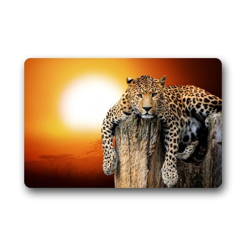 RYLABLUE Paillasson Cool Léopard sur Pierre Tapis de Sol Tapis Extérieur/intérieur Paillasson Taille 23.6x15.7 Pouces