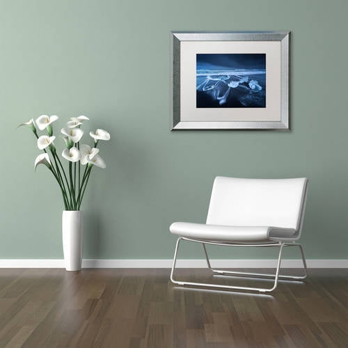 Trademark Fine Art "The Ice Age" Canvas Art by Mathieu Rivrin, White Matte, Silver Frame