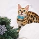 thumbnail image 5 of Collar de gato de Navidad separable con pajarita y campana para suministros de seguridad ajustables para mascotas, 2 uds., 5 of 5