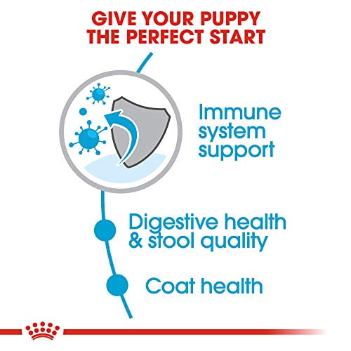 Royal canin top walmart canada