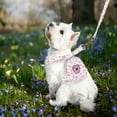 thumbnail image 7 of Cat Floral Harness Leash Set Cute Puppy Harness with Reflective Bag Adjustable Soft Harness Fit Puppy Kitten Rabbit Outdoor, 7 of 7