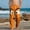 Orange, variant on Qunyiney with Pockets Pants for Boys Graphic Funny Pants Relaxed Fit Wide Leg Beach Elastic Waist Pants Size 4
