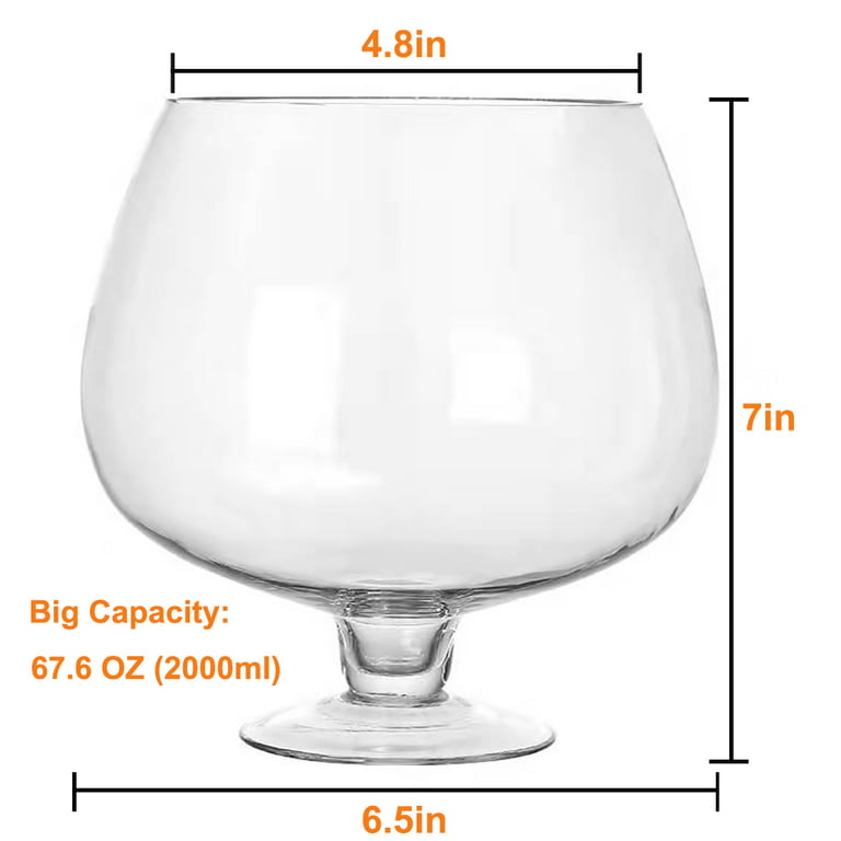 Big Wine Glass 6000ml Capacity