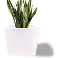 thumbnail image 1 of Maceta Plastico Resistente Cuadrada con Drenaje, 40 x 35 cm blanco 15 cm x 15 cm Elly Decor ED-MCP01WH, 1 of 9