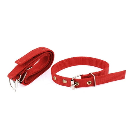 3 Pcs Pet Dog Nylon Dual Layer Buckle Adjustable  Harness Belt Collar
