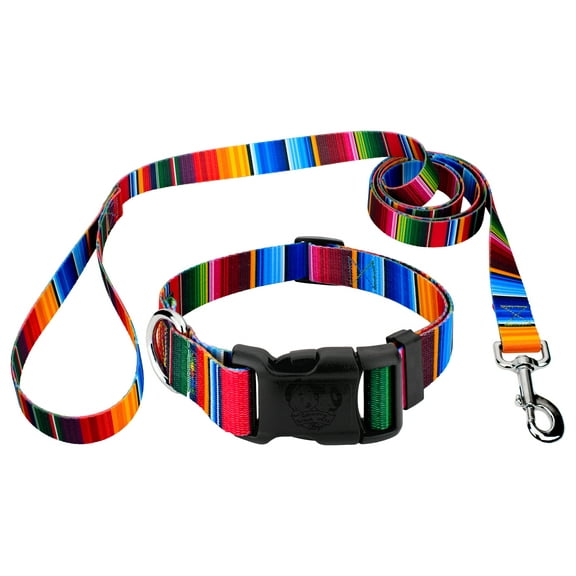 Country Brook Petz® Deluxe Serape Dog Collar and Leash, 2XS