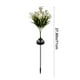 thumbnail image 3 of Lámpara Solar de Jardín con Forma de Flor de Lirio, Ideal para Decorar Exteriores, Patios y Jardines. Luz Ambiental Led Artificial de 7 Cabezas., 3 of 7
