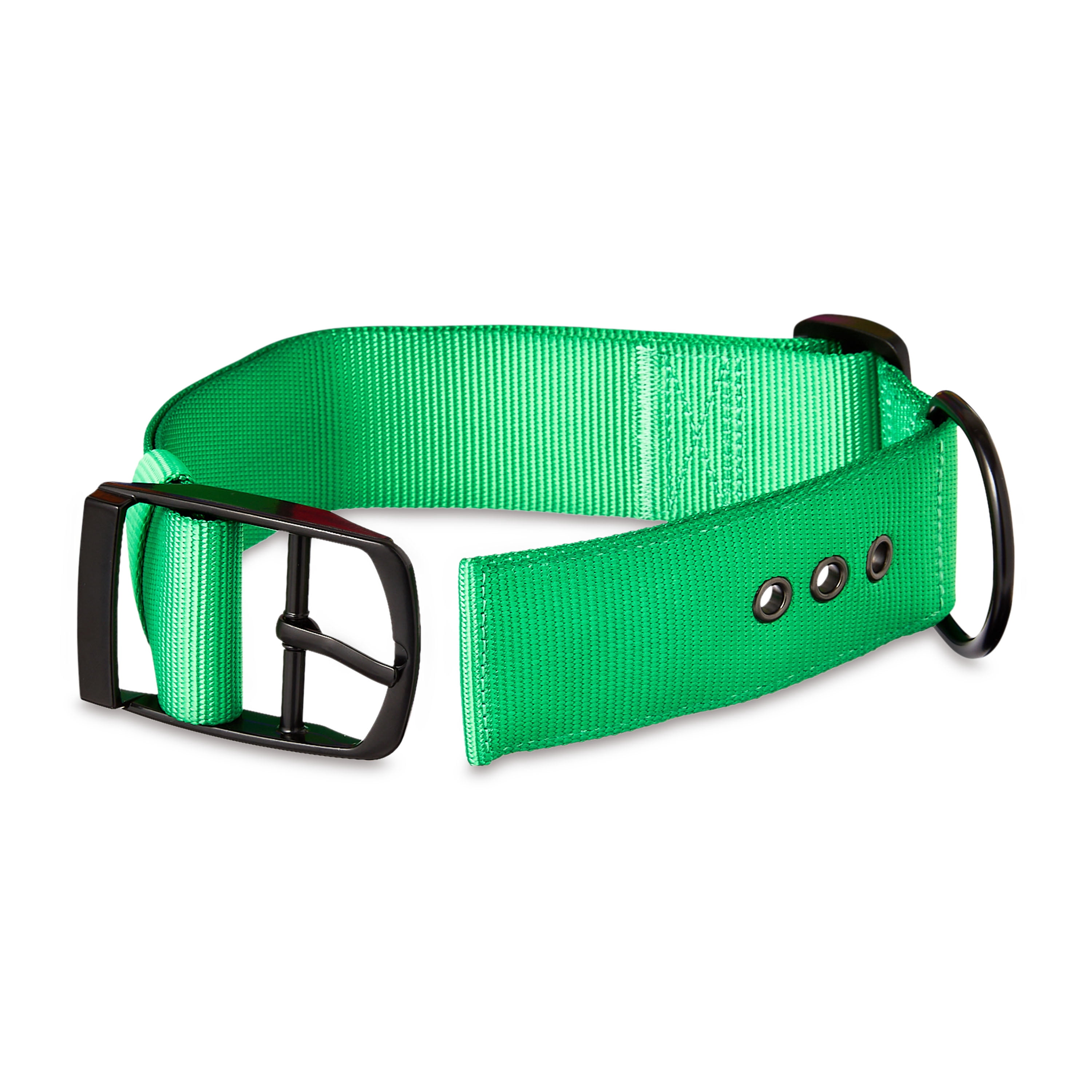 Vibrant Life Polyester Adjustable Dog Collar with Metal Buckle, Green, XL