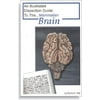 Frey Scientific Mini-Guide to Mammalian Brain Dissection, 12 Pages