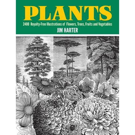 Stock Illustration Royalty Free - Plants : 2,400 Royalty-Free Illustrations of Flowers, Trees, Fruits and Vegetables
