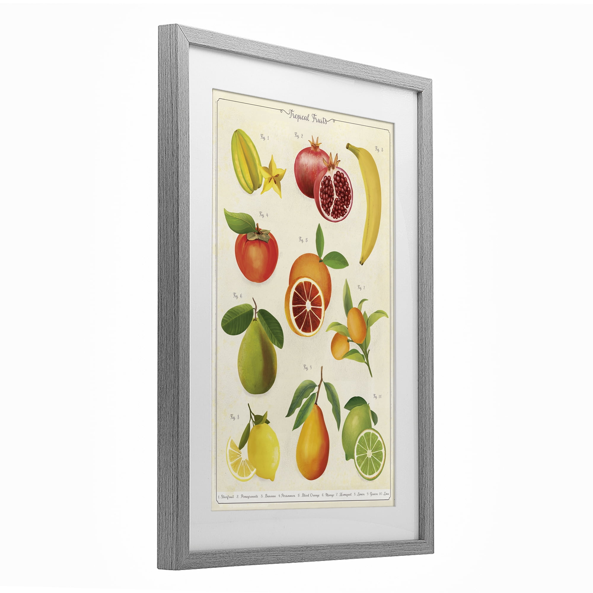 Stupell Industries Vintage Tropical Fruit Studies Gray Framed Print Under Glass, design by Diane Neukirch