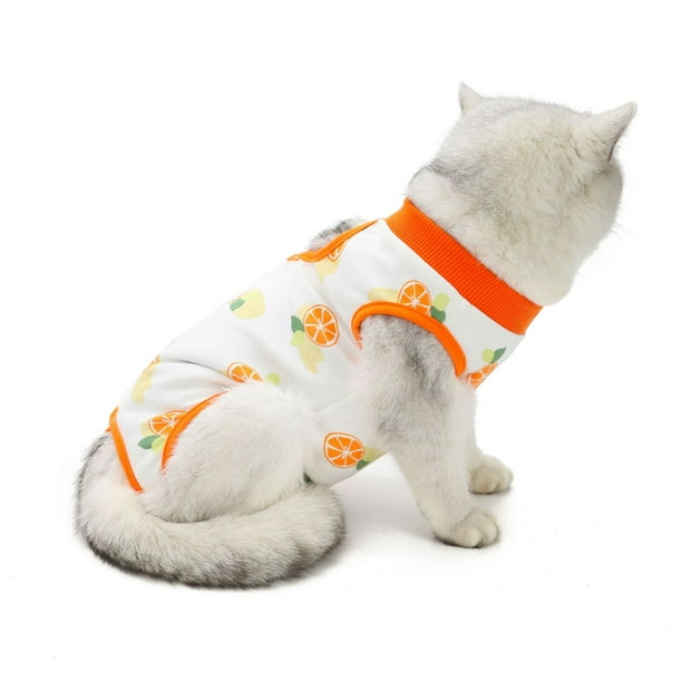 Ropa quirúrgica para gatos Ropa de esterilización para gatas Ropa de destete Ropa para gatos de cuatro patas Ropa de esterilización fina y transpirable para gatos de verano