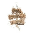 thumbnail image 2 of Prevue Pet Products Naturals Preen & Pacify Woodland Harvest Bird Toy 62549, 2 of 4