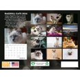 Ragdoll Cat 2024 Wall Calendar Ragdoll 2024 Calendar