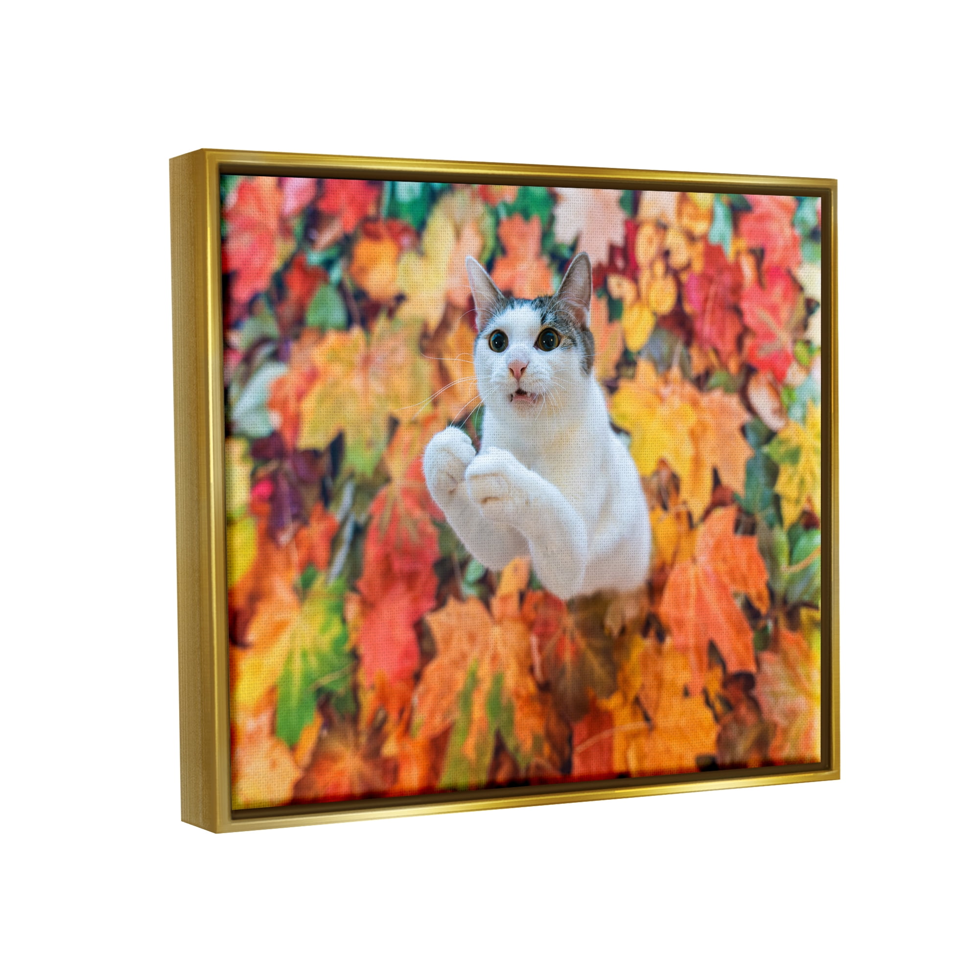 Stupell Industries Cat in Autumn Leaf Pile Animals & Insects Photography Gold Floater Framed Canvas Art Print Wall Art, 31 x 25